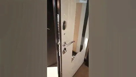 Входная дверь с зеркалом Ampir
