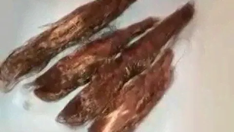 Оконный вентилятор (СССР).  Разборка.
