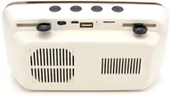 Портативная колонка Орбита PTH-800