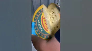 Сыр голландский Маасдам. Maasdam frico cheese